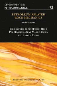 bokomslag Petroleum Related Rock Mechanics