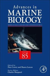 bokomslag Sharks in Mexico: Research and Conservation Part B