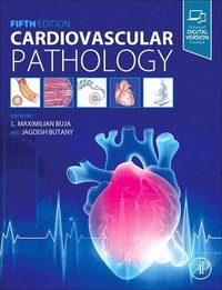 bokomslag Cardiovascular Pathology