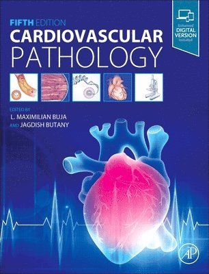 Cardiovascular Pathology 1