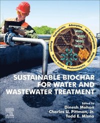 bokomslag Sustainable Biochar for Water and Wastewater Treatment