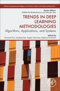 bokomslag Trends in Deep Learning Methodologies