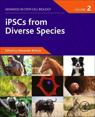 iPSCs from Diverse Species 1