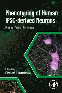 bokomslag Phenotyping of Human iPSC-derived Neurons