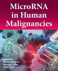 bokomslag MicroRNA in Human Malignancies