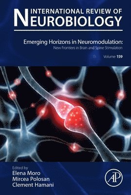 bokomslag Emerging Horizons in Neuromodulation: New Frontiers in Brain and Spine Stimulation