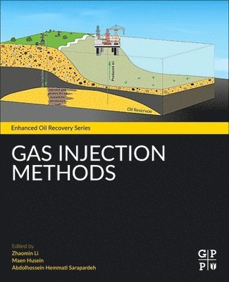 bokomslag Gas Injection Methods