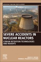 Arun K. Nayak, Parimal Pramod Kulkarni - Severe Accidents in Nuclear Reactors, Häftad