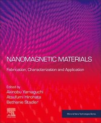 bokomslag Nanomagnetic Materials