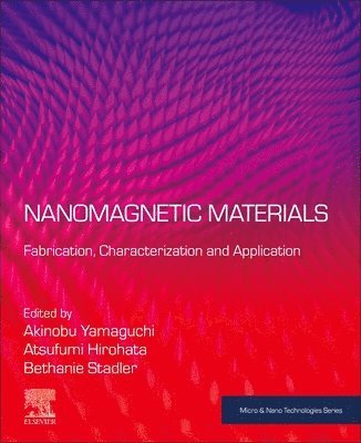 bokomslag Nanomagnetic Materials