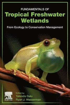 bokomslag Fundamentals of Tropical Freshwater Wetlands