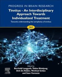 bokomslag Tinnitus - An Interdisciplinary Approach Towards Individualized Treatment: Towards Understanding the Complexity of Tinnitus