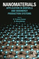 R. Praveen Kumar, B. Bharathiraja - Nanomaterials, Häftad