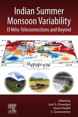 bokomslag Indian Summer Monsoon Variability