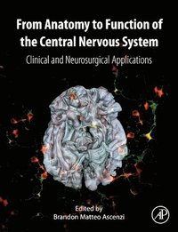 bokomslag From Anatomy to Function of the Central Nervous System