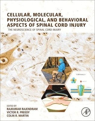 Cellular, Molecular, Physiological, and Behavioral Aspects of Spinal Cord Injury 1