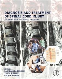 bokomslag Diagnosis and Treatment of Spinal Cord Injury