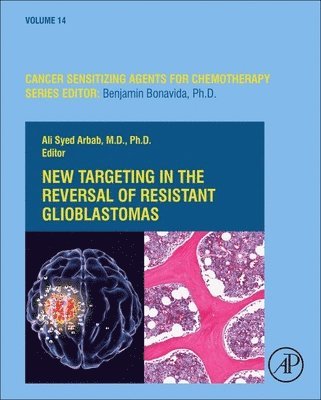 New Targeting in The Reversal of Resistant Glioblastomas 1