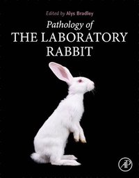 bokomslag Pathology of the Laboratory Rabbit