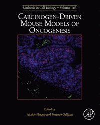 bokomslag Carcinogen-Driven Mouse Models of Oncogenesis