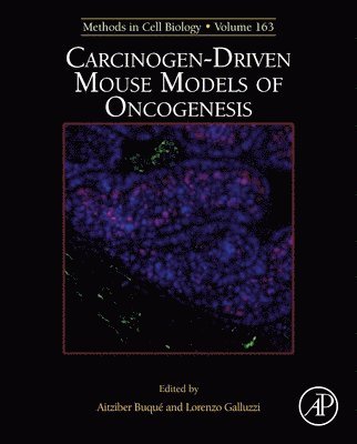 Lorenzo Galluzzi, Aitziber Buque - Carcinogen-Driven Mouse Models of Oncogenesis, Inbunden