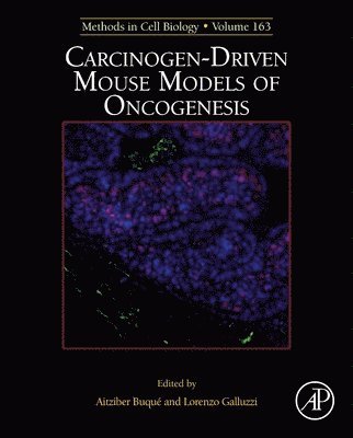 Carcinogen-Driven Mouse Models of Oncogenesis 1