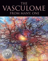 bokomslag The Vasculome