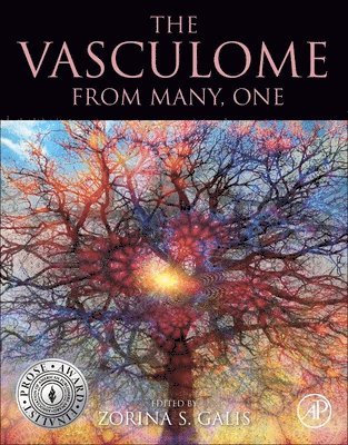 The Vasculome 1