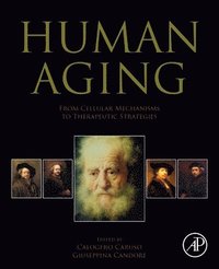 bokomslag Human Aging