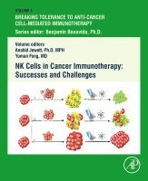 Anahid Jewett, Yuman Fong - NK Cells in Cancer Immunotherapy: Successes and Challenges, Inbunden