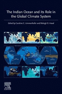 bokomslag Indian Ocean and its Role in the Global Climate System