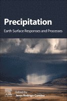 Jesus Rodrigo Comino - Precipitation, Häftad