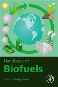 bokomslag Handbook of Biofuels