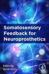 bokomslag Somatosensory Feedback for Neuroprosthetics