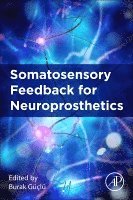 bokomslag Somatosensory Feedback for Neuroprosthetics