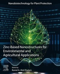 bokomslag Zinc-Based Nanostructures for Environmental and Agricultural Applications