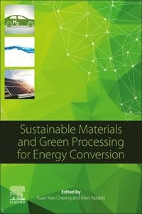 bokomslag Sustainable Materials and Green Processing for Energy Conversion