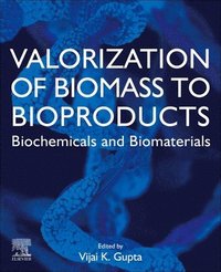bokomslag Valorization of Biomass to Bioproducts