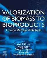 Vijai Kumar Gupta, Maria Tuohy, Quang D. Nguyen, Rajeev Bhat, Pramod W. Ramteke - Valorization of Biomass to Bioproducts, Häftad