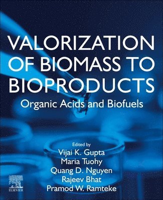 bokomslag Valorization of Biomass to Bioproducts