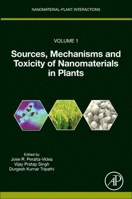 Sources, Mechanisms and Toxicity of Nanomaterials in Plants 1
