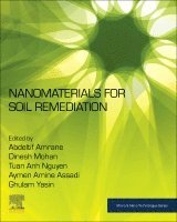 Abdeltif Amrane, Dinesh Mohan, Aymen Amine Assadi, Ghulam Yasin, Tuan Anh Nguyen - Nanomaterials for Soil Remediation, Häftad