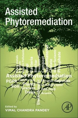 bokomslag Assisted Phytoremediation