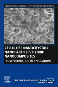 bokomslag Cellulose Nanocrystal/Nanoparticles Hybrid Nanocomposites