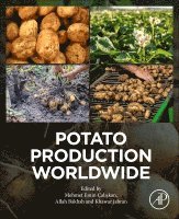 bokomslag Potato Production Worldwide