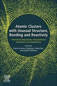 bokomslag Atomic Clusters with Unusual Structure, Bonding and Reactivity