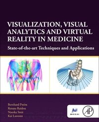 bokomslag Visualization, Visual Analytics and Virtual Reality in Medicine