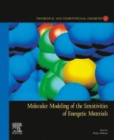 Didier Mathieu - Molecular Modeling of the Sensitivities of Energetic Materials, Häftad