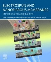 Ali Kargari, Takeshi Matsuura, Mohammad Mahdi A. Shirazi - Electrospun and Nanofibrous Membranes, Häftad