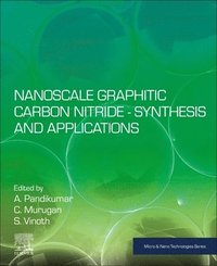 bokomslag Nanoscale Graphitic Carbon Nitride